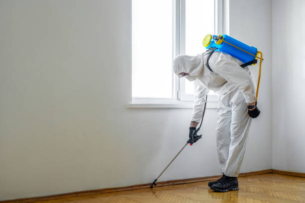 Professional Pest Control in Mancos, CO